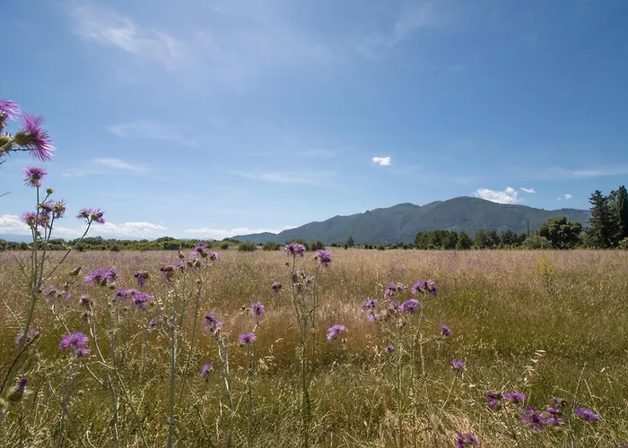 Isula Paradise Linguizzetta