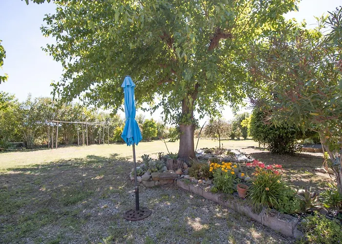 Isula Paradise * Linguizzetta