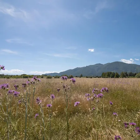 Isula Paradise Linguizzetta