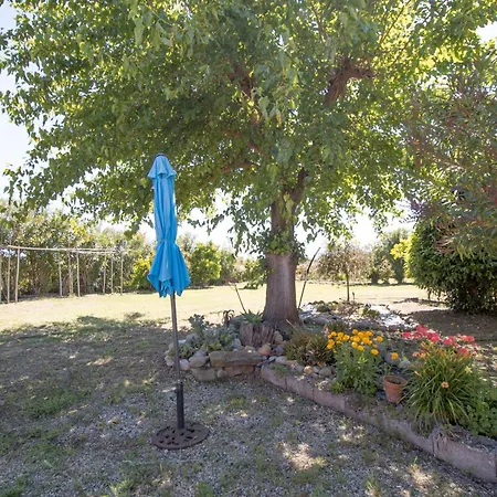 Isula Paradise * Linguizzetta